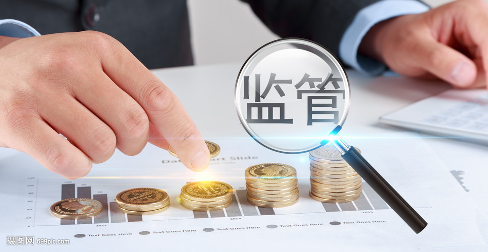 金融监管与投资管理 保障市场稳健运行的双重支柱